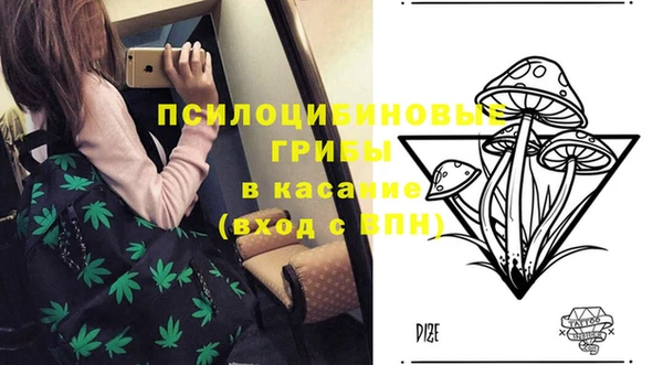 СК Алзамай