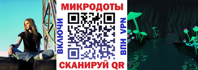 дарк нет официальный сайт  Каргат  Псилоцибиновые грибы ЛСД 