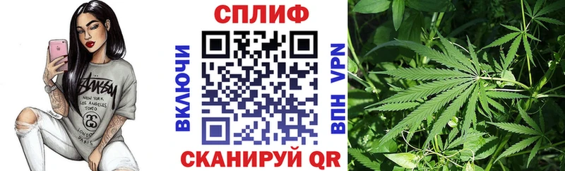 купить   Каргат  МАРИХУАНА SATIVA & INDICA 